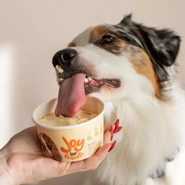 LITTLE PUMPINK HELADOS PERROS 120G X12, Cafeterías Pet-Friendly, CONGELADO NoneKg de peso